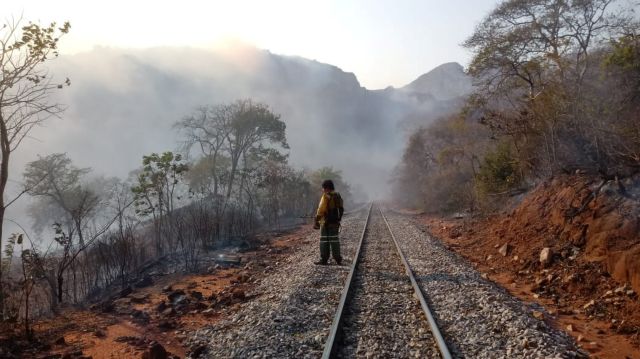 Αντιμέτωπες με μεγάλες δασικές πυρκαγιές η Βολιβία και η Παραγουάη