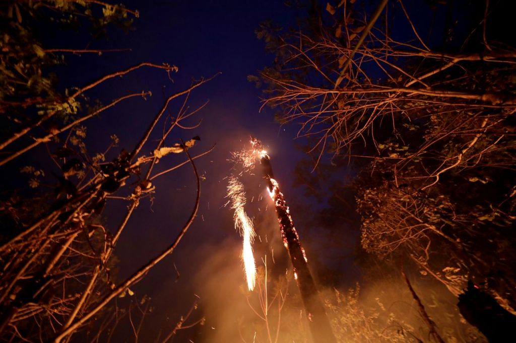 Πυρκαγιές στον Αμαζόνιο: Ανοιχτή στην προσφορά οικονομικής βοήθειας υπό συγκεκριμένους όρους η Βραζιλία