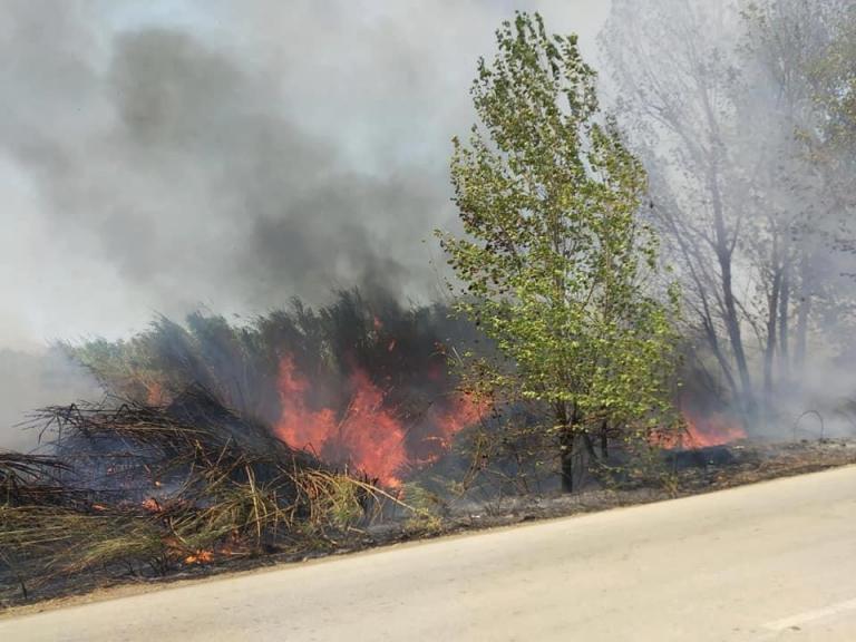 Πυρκαγιές σε Ασπρόπυργο, Ηλεία και Αρκαδία – Άμεση κινητοποίηση της Πυροσβεστικής