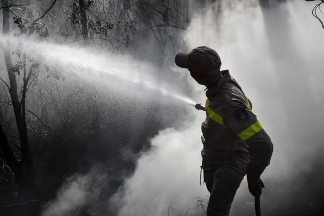 Υπό μερικό έλεγχο η πυρκαγιά στα Φάρσαλα - Στάχτη 300 στρέμματα δασικής έκτασης