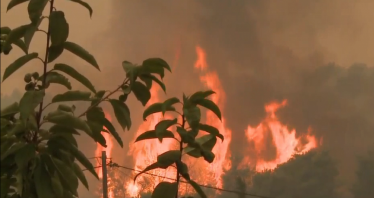 Πύρινη κόλαση στην Εύβοια: Μέσα στα χωριά Μακρυμάλλη – Κοντοδεσπότι οι φλόγες – Νέο μέτωπο στην Ιστιαία
