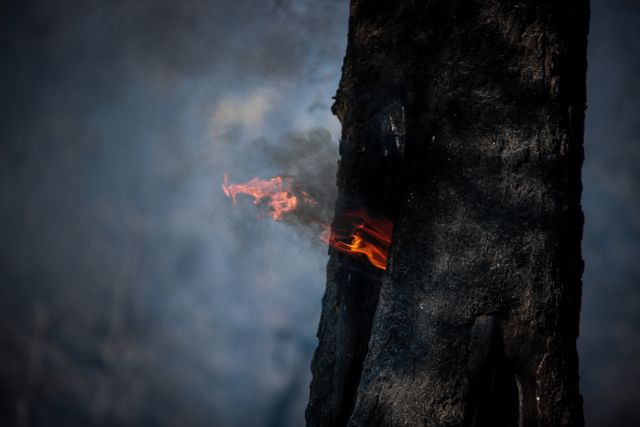 Βραδινός συναγερμός στην Εύβοια: Εσπευσμένα δημιουργούν αντιπυρικές ζώνες κοντά στην Πλατάνα