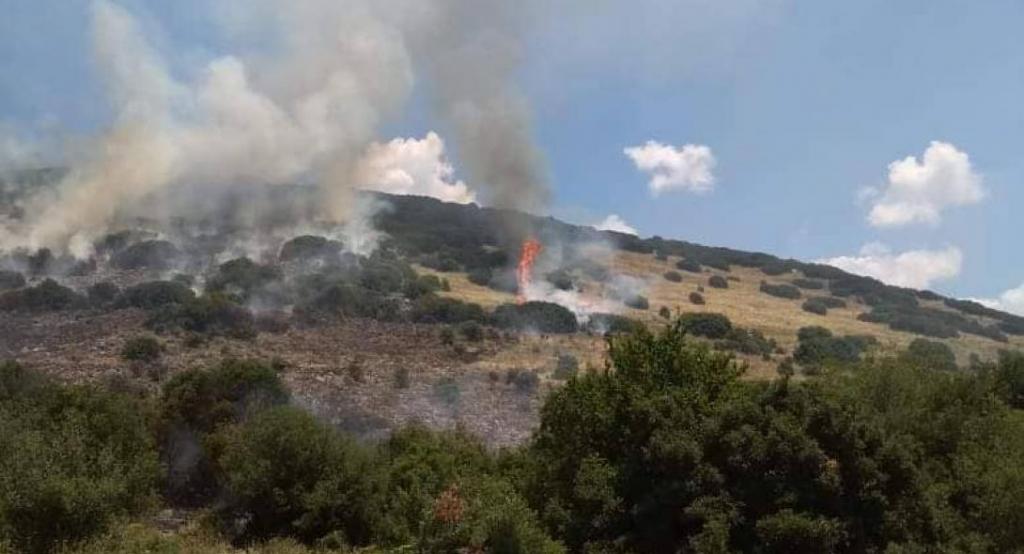 Υπό μερικό έλεγχο η πυρκαγιά στα Πικουλιάνικα Σπάρτης