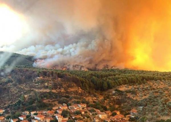 Εύβοια: Πού εστιάζονται οι έρευνες της διεύθυνσης εγκλημάτων εμπρησμού της Πυροσβεστικής
