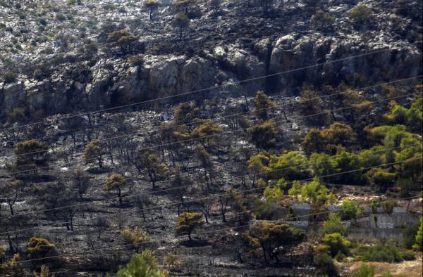 Υπό έλεγχο η φωτιά στις Ερυθρές Μάνδρας