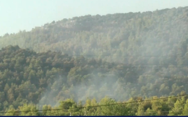 Πρόεδρος Διαμερίσματος Ψαχνών – Μακρυμαλλίου One Channel: Σε δύο ώρες θα είναι υπό έλεγχο η φωτιά