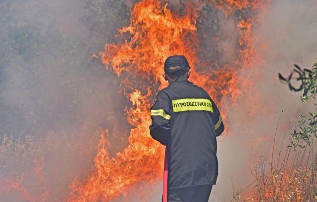Φωτιά στη Βάρδα Ηλείας – Μεγάλη κινητοποίηση της Πυροσβεστικής
