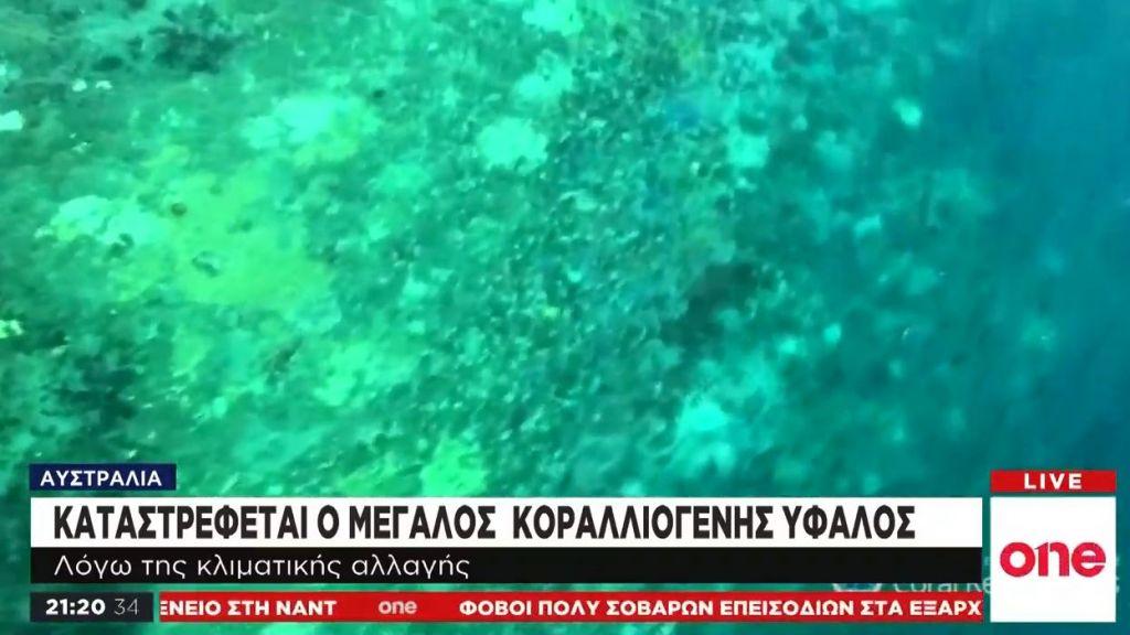 Αυστραλία: SOS για τον Μεγάλο Κοραλλιογενή ύφαλο