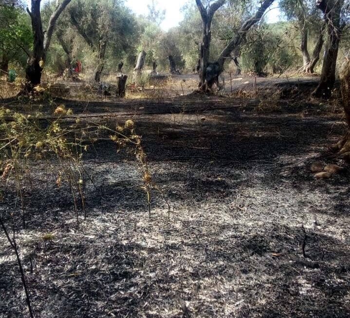 Υπό έλεγχο η φωτιά στον Ίσσο Κέρκυρας