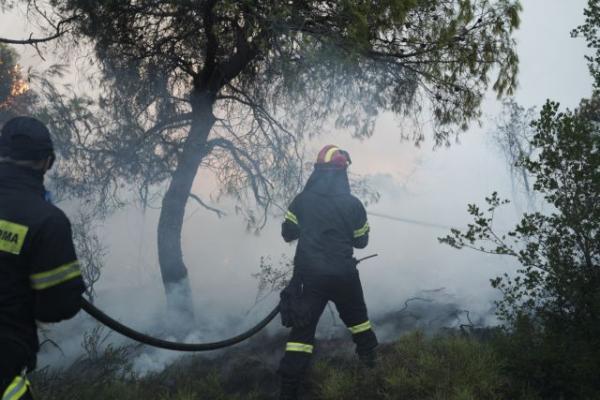 Οδοιπορικό One Channel: Σβήνουν μικροεστίες ανάμεσα σε σπίτια και ελιές που «καπνίζουν»