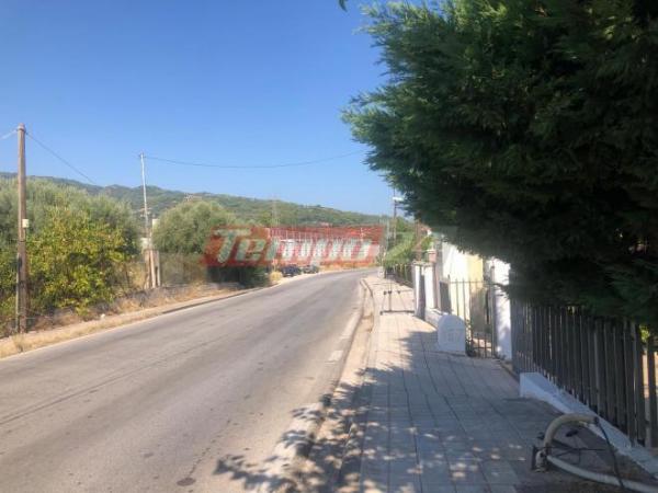 Αίγιο: Σε ψυχιατρική κλινική ο 28χρονος που σκότωσε γιαγιά και εγγονάκι
