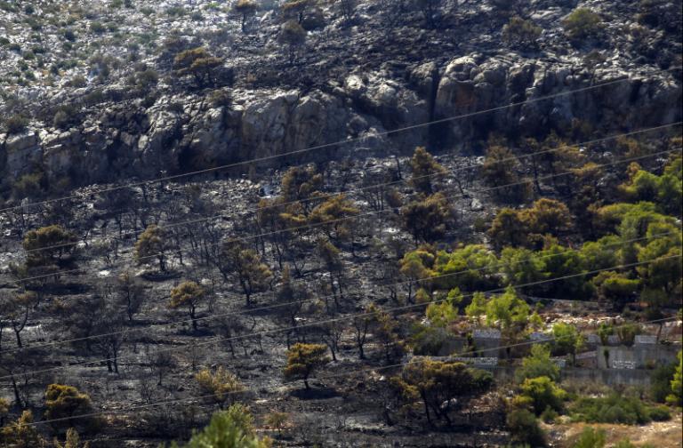 Σε ύφεση η πυρκαγιά στην Παλιά Περίθεια Κέρκυρας
