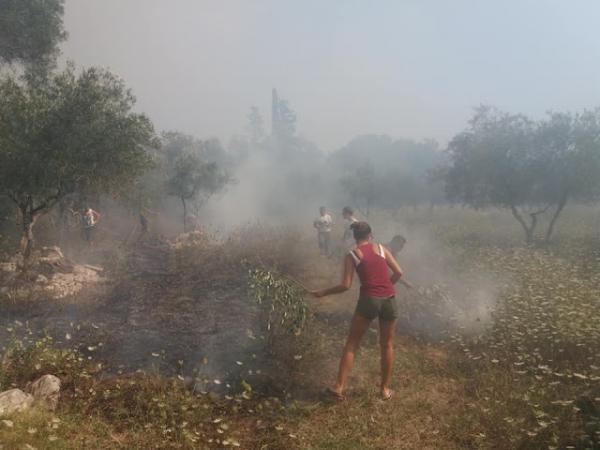 Περιορίστηκε η φωτιά στην Κέρκυρα – Επιστρέφουν στα σπίτια τους οι κάτοικοι