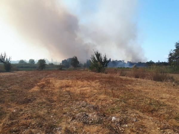 Σε ύφεση η φωτιά στην Κέρκυρα