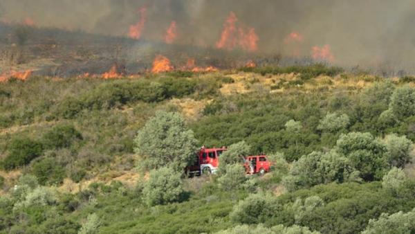 «Πληγώθηκε» η Κρήτη από τις τέσσερις χθεσινές πυρκαγιές – Μια σύλληψη στον Κρουσώνα