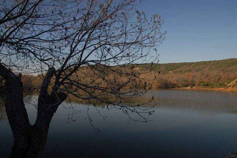 Σκήτη Λάρισας: Ένας ταμιευτήρας νερού έγινε λίμνη που προσελκύει τους φυσιολάτρες
