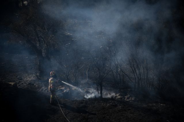 Σε ύφεση τα πύρινα μέτωπα - Ακραίος κίνδυνος πυρκαγιάς και την Κυριακή