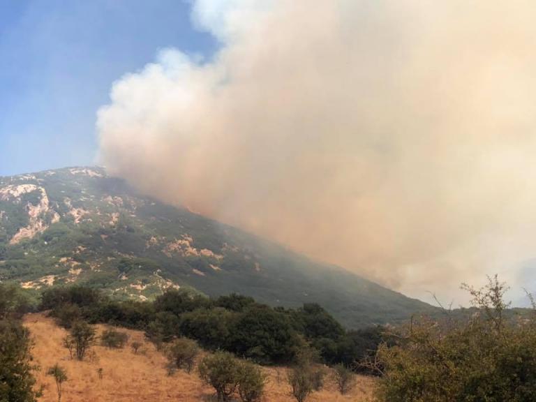 Πυρκαγιά στο Μουρίκι Καλαβρύτων