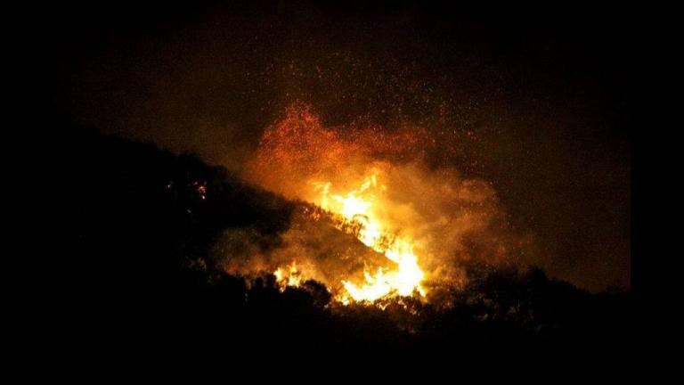 Συναγερμός από δασική πυρκαγιά στην Ερέτρια