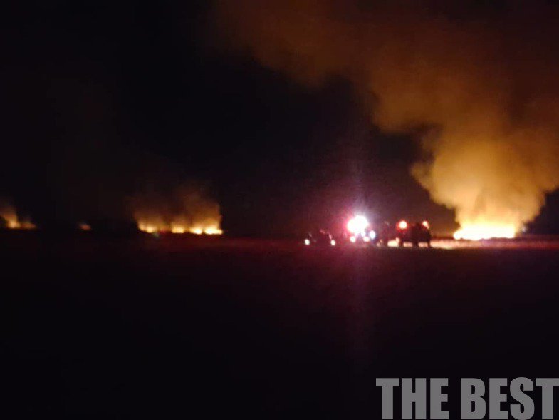Αχαΐα : Υπό μερικό έλεγχο η πυρκαγιά κοντά στο δάσος της Στροφυλιάς