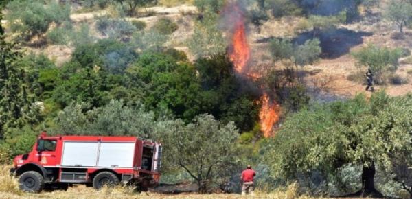 Φωτιά στα Μουζακαίικα της Πάργας