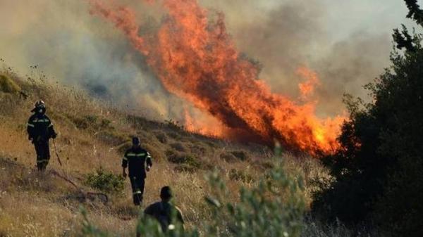 Πυρκαγιά στην Αρχαία Νεμέα