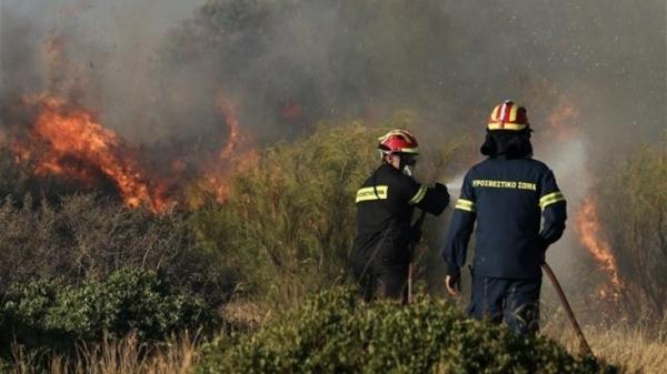 Κρήτη: Συναγερμός στην Πυροσβεστική για πυρκαγιές σε Ιεράπετρα και Ρέθυμνο