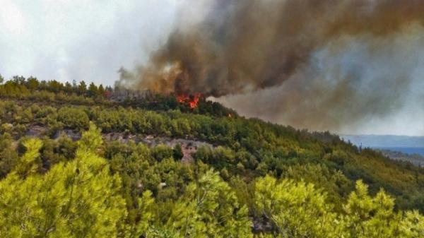 Φωτιά σε δύσβατο σημείο στις Καρυές Σαμοθράκης