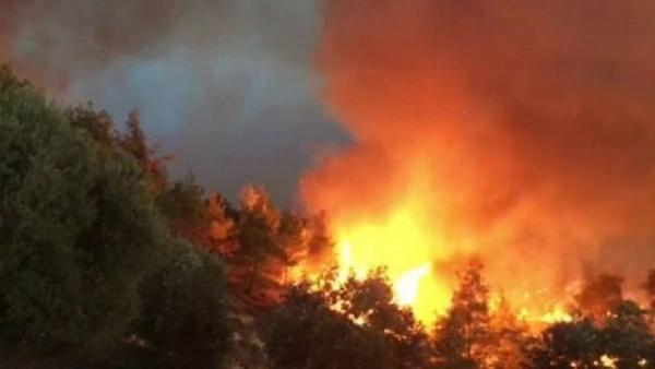 Πυρκαγιά στη Σαλαμίνα – Εκκενώθηκε προληπτικά οικισμός