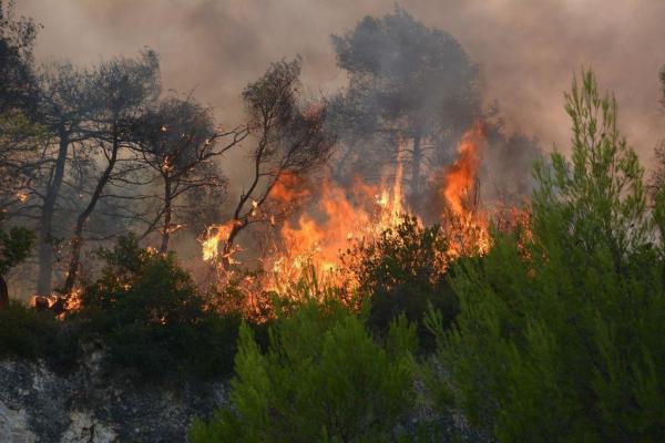 Πυρκαγιά στην Τιθορέα Φθιώτιδας – Μεγάλη κινητοποίηση της Πυροσβεστικής