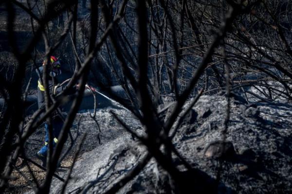 Κόκκινος συναγερμός για φωτιές: Στάχτη το 25% της Ελαφονήσου – Νέα μέτωπα στην Αχαΐα