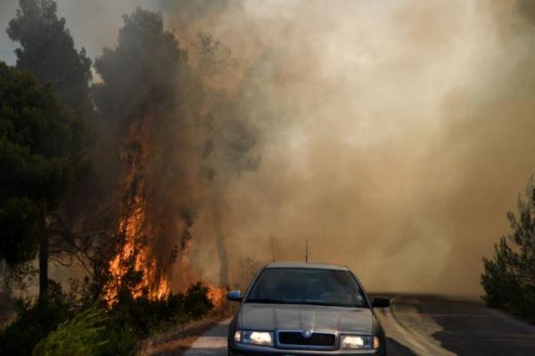 Δήμαρχος Καλαβρύτων στο One Channel: Πυρκαγιά στην περιοχή Κάτω Δρυμός