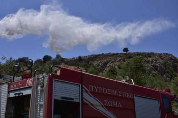 Φωτιά στην περιοχή Λούβρο της Αρχαίας Ολυμπίας