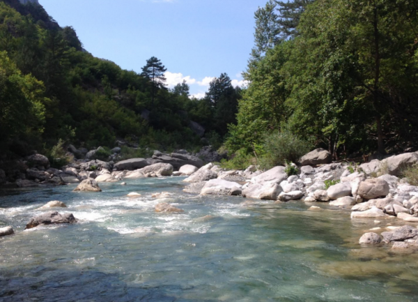 Βρετανία: Η τεχνολογία αλλάζει σταδιακά το νόημα των λέξεων που σχετίζονται με τη φύση