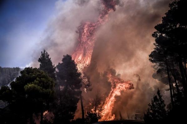 Στις φλόγες η Εύβοια: Ισχυροί άνεμοι δυσχεραίνουν το έργο της Πυροσβεστικής