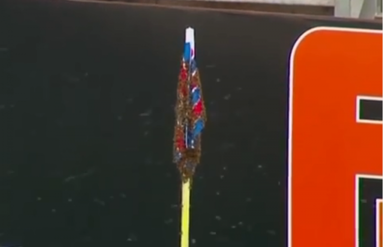 Βραζιλία: Μέλισσες καθυστέρησαν 20 λεπτά την έναρξη αγώνα