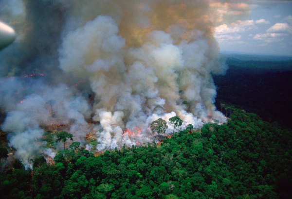 Καταστρέφεται ο Αμαζόνιος – Ο «πνεύμονας» του πλανήτη κινδυνεύει