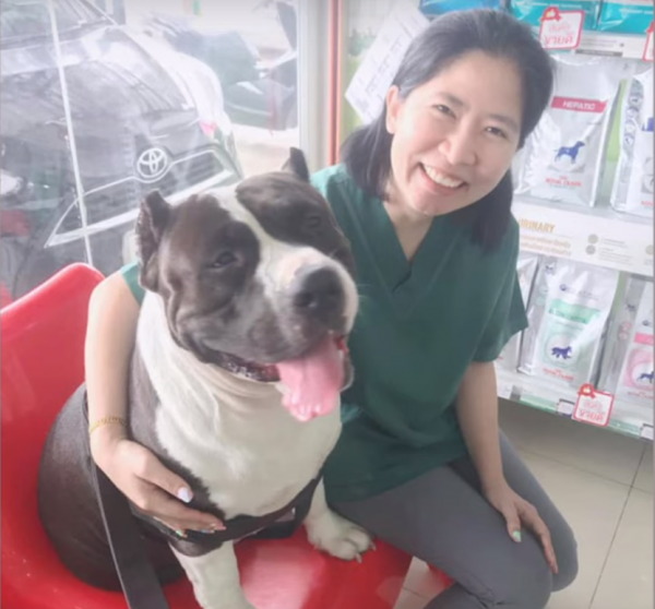 Απίστευτο: Έβγαλαν από το στομάχι σκύλου 32 πλαστικά παπάκια