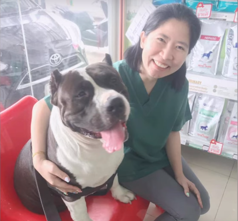 Απίστευτο: Έβγαλαν από το στομάχι σκύλου 32 πλαστικά παπάκια