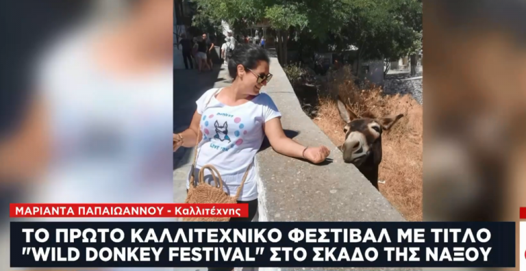 Το πιο… καινοτόμο καλοκαιρινό φεστιβάλ γίνεται στην Ορεινή Νάξο