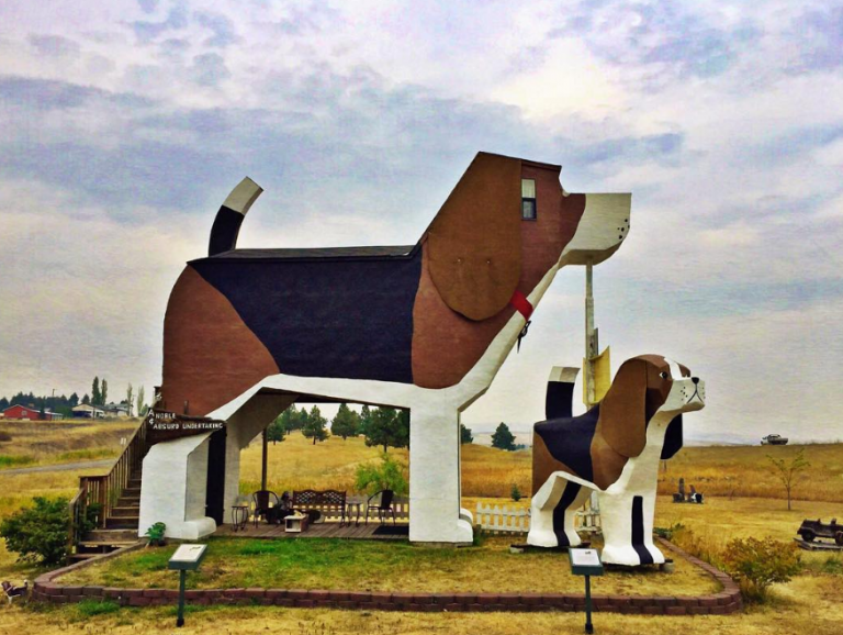 Εσείς θα μένετε μέσα σε ένα γιγαντιαίο σκυλί;