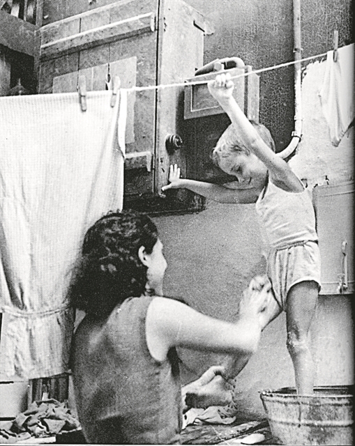 Ρίζες στο χέρσο