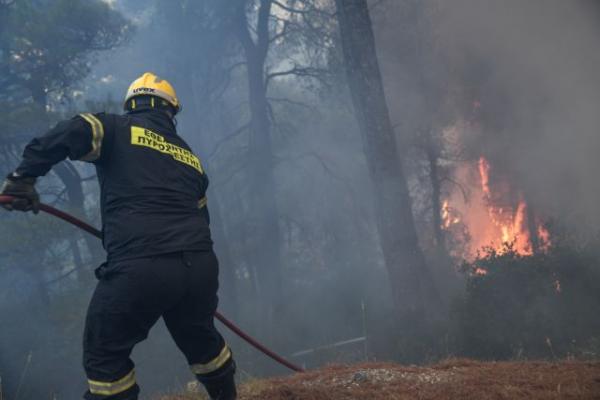 Φωτιά στο Σταυράκι Ιωαννίνων