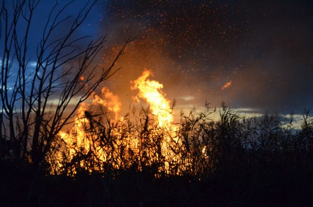 Συναγερμός στην Πυροσβεστική : Φωτιά στον Μαραθώνα