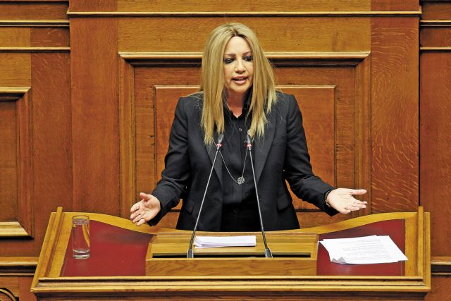 Αυτό είναι το πόθεν έσχες της Φώφης Γεννηματά