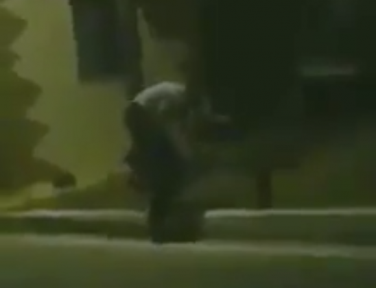 Εικόνες ντροπής σε ελληνικό στρατόπεδο: Σμηνίτης κλωτσά γάτα