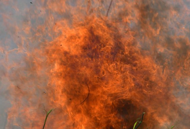 Φωτιά στη Ζάκυνθο - Ισχυρές δυνάμεις της Πυροσβεστικής
