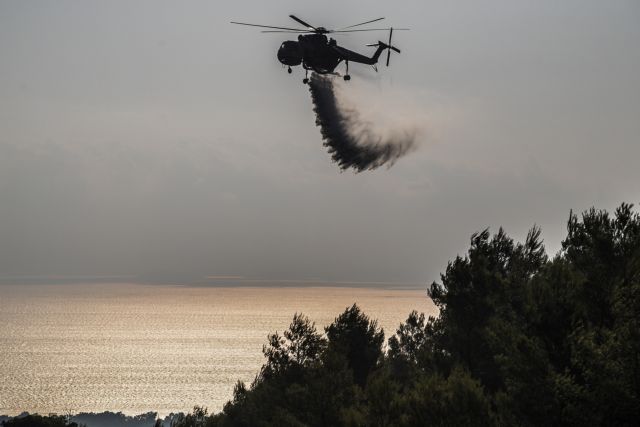 Χαρδαλιάς για φωτιά στη Νέα Μάκρη: Γι’ αυτό δεν λειτούργησε το 112