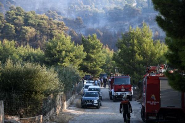 Φωτιά στη Νέα Μάκρη: Κλειστοί δρόμοι – Ενισχύονται οι δυνάμεις της Πυροσβεστικής