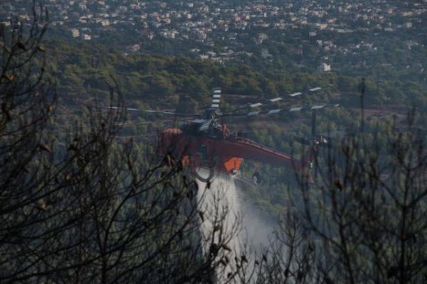 Φωτιά στη Νέα Μάκρη: Ολα δείχνουν εμπρησμό στις 2 και 17 τα ξημερώματα